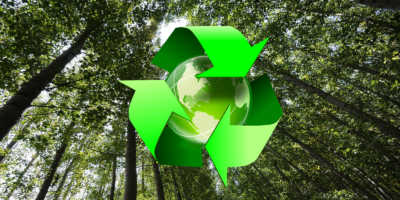 Papel: mitos e verdades sobre o uso desse material