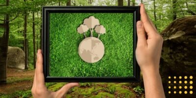 Florestas Plantadas, o Papel e a Preservação Ambiental 